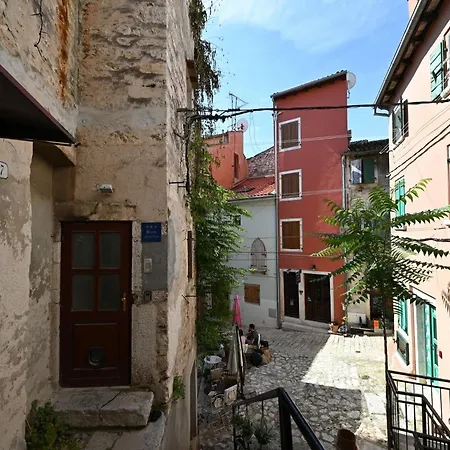 Apartament Radiant And Trendy Downtown - One Bedroom